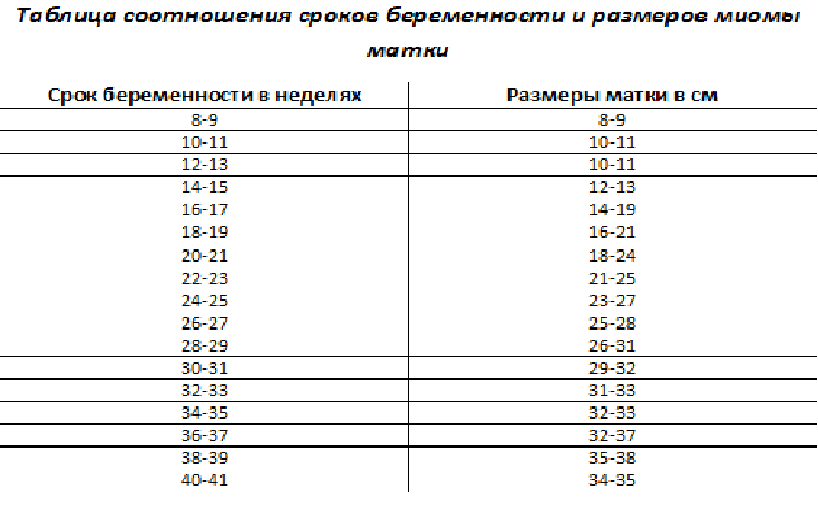 Размеры матки при беременности по неделям картинки