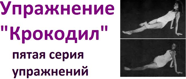 Зарядка крокодил для позвоночника в картинках