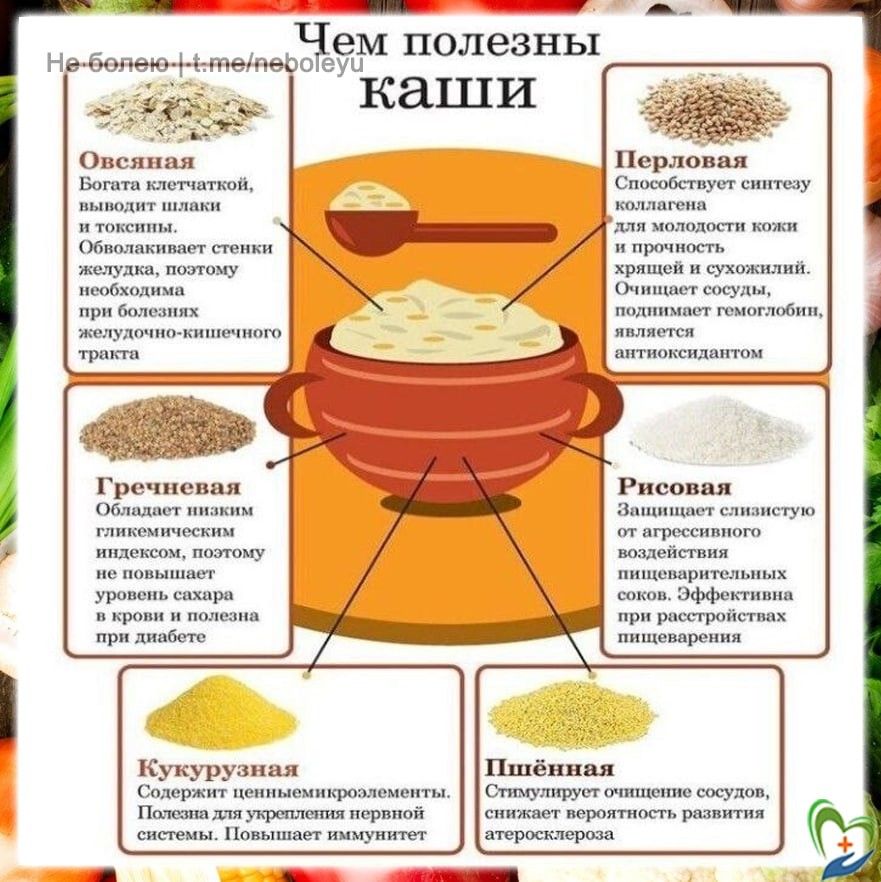 Пшенная каша с молоком польза и вред для похудения