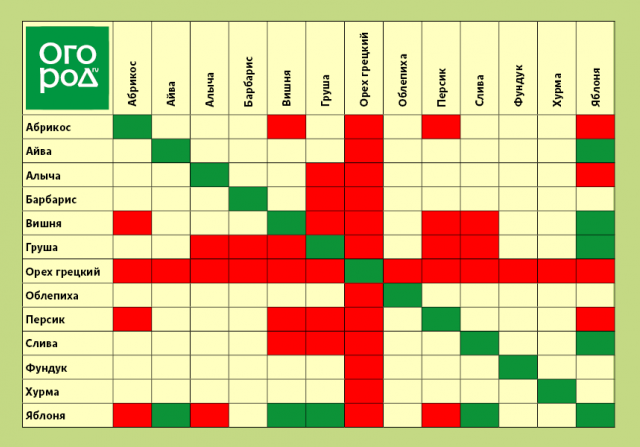 Почему нельзя сажать. Аллелопатия растений таблица совместимости. Аллелопатия деревьев таблица. Аллелопатия яблоня. Аллелопатия деревьев и кустарников.
