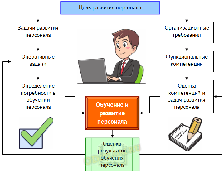 Положение об обучении персонала в организации образец