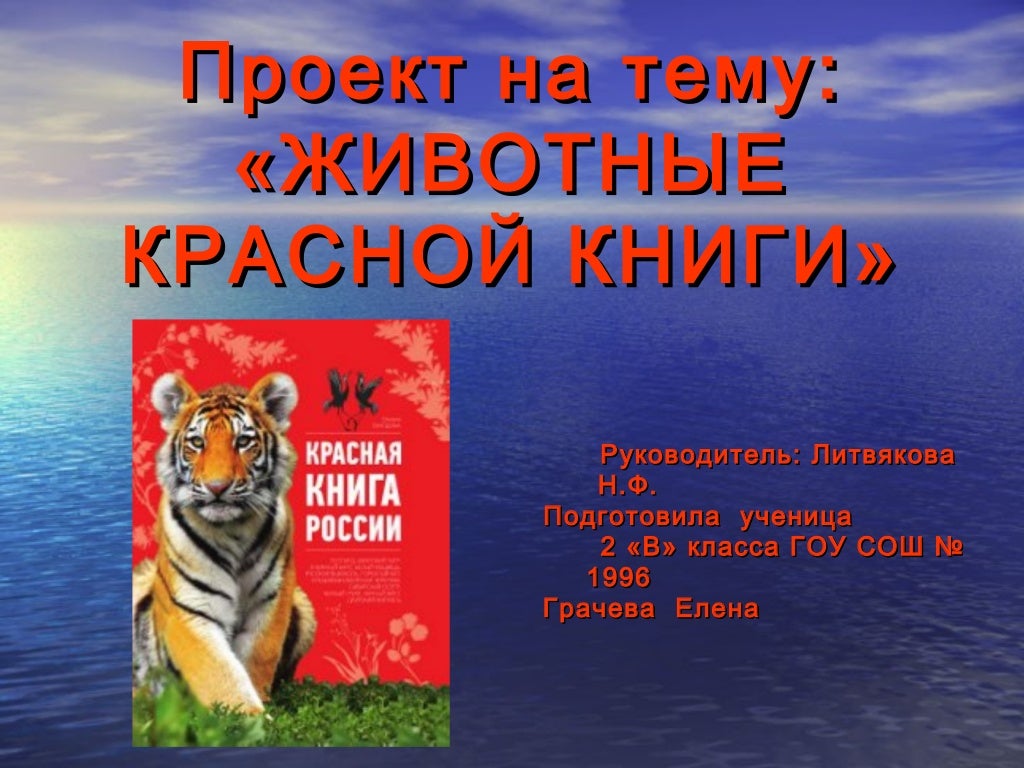 Сообщение на тему красная книга. Животные из красной книги. Проект на тему животные красной книги. Проект о животных красной книги. Доклад о животных красной книги.