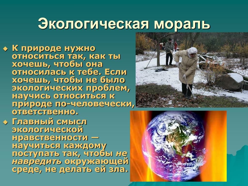 Проект по биологии 9 класс на тему экологические проблемы