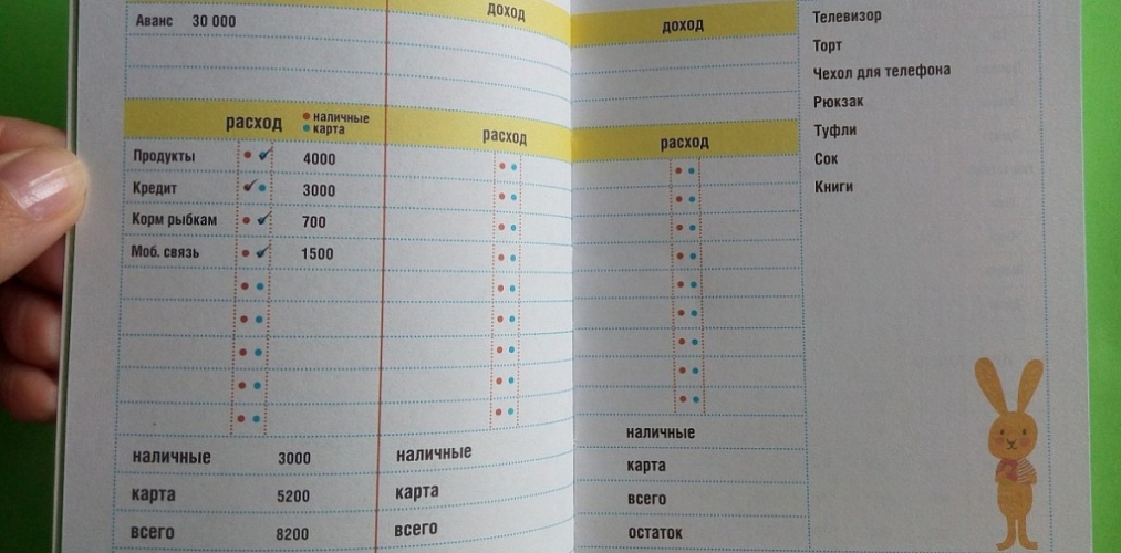 Как вести домашний бюджет в тетради образец