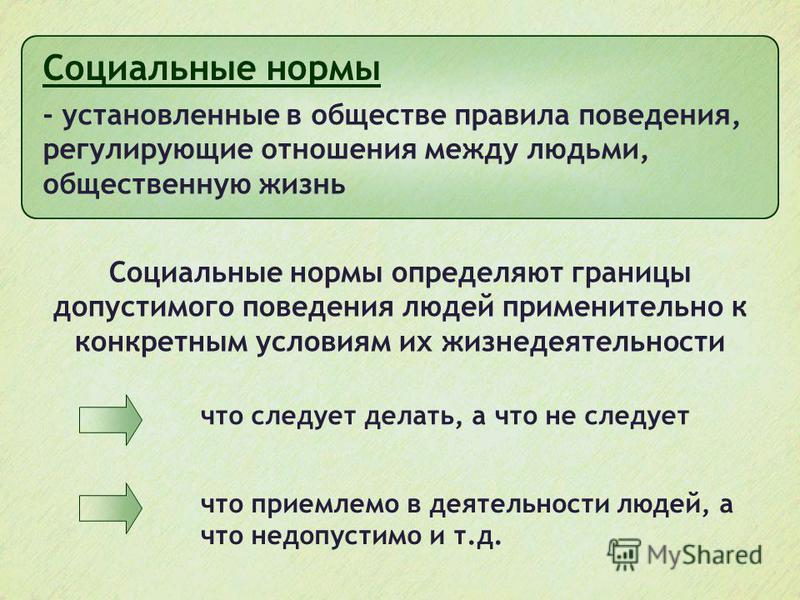 Как называются установленные в обществе правила образцы поведения людей