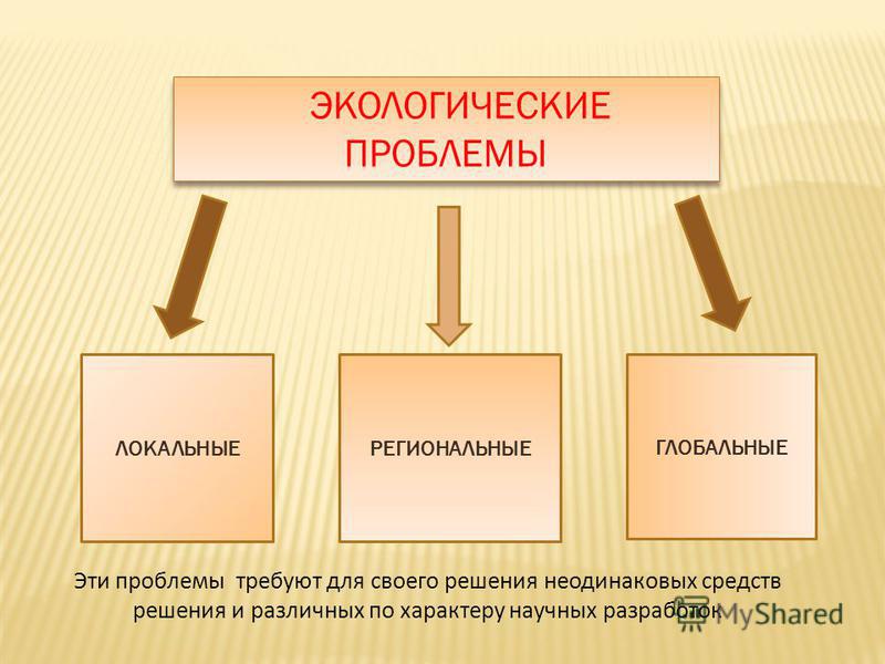 Локальные проблемы