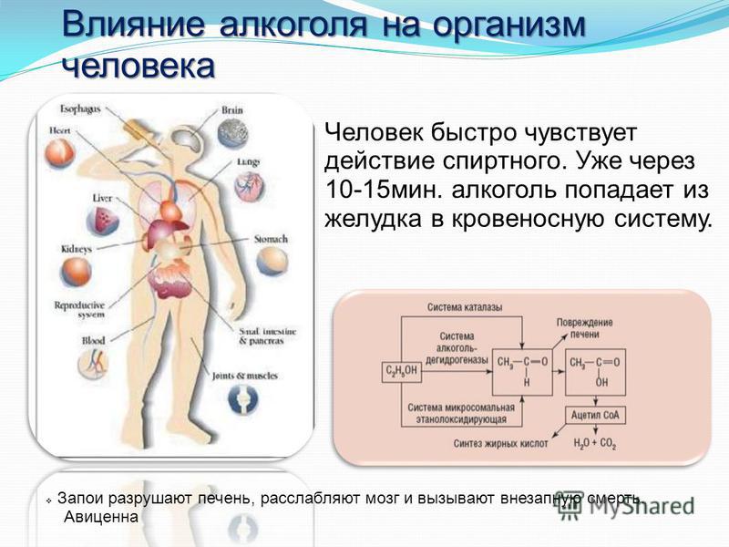 Что чувствуете при проникновении