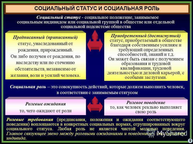 План социальный статус и социальная роль обществознание егэ