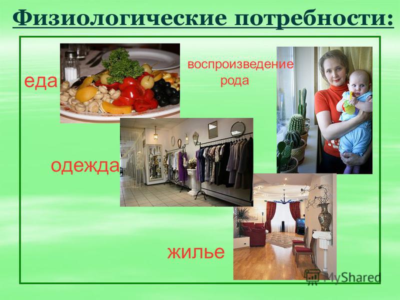 1 физиологические потребности