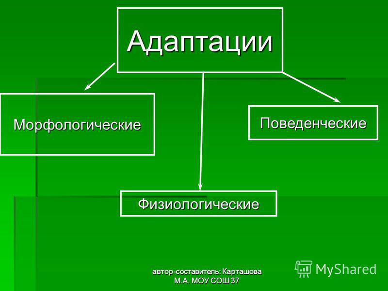 Адаптация картинки биология