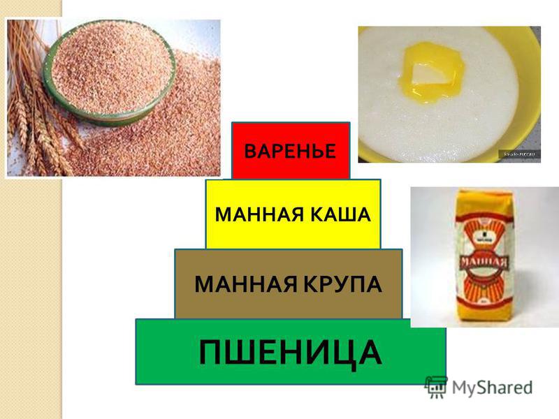 Какая каша из какого злака манная