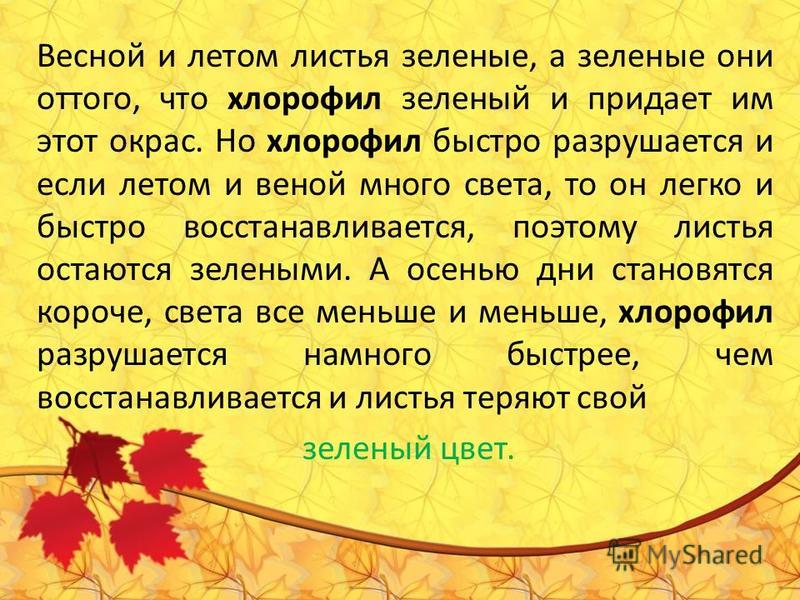 Почему листья зеленые кратко