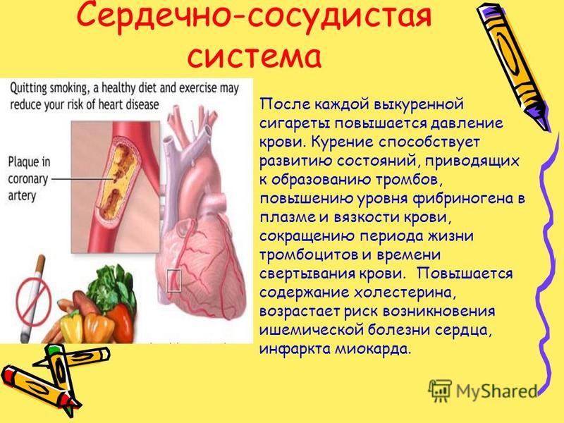 Курение способствует развитию. От сигарет понижается давление. Повышается ли от сигарет давление. После курения поднимается давление.