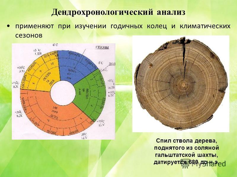 Годичный курс