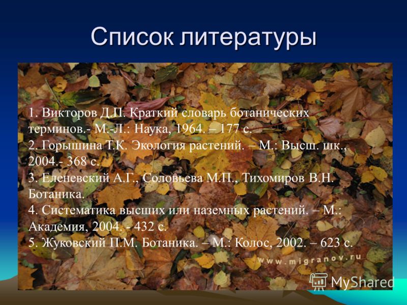 Почему листья на деревьях осенью желтеют а на комнатных растениях нет проект