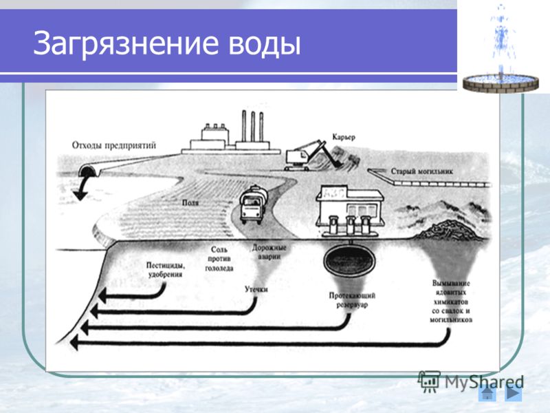 Источники загрязнения воды схема