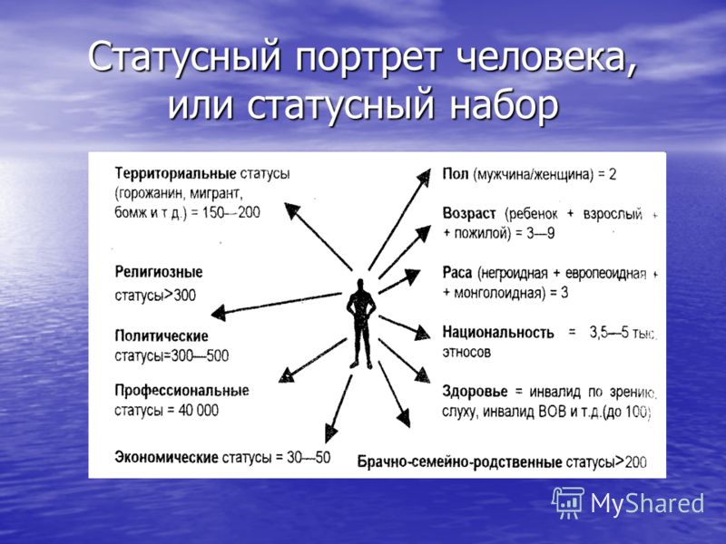 Социальный портрет ученика образец