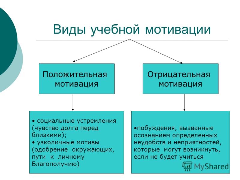 Положительная учебная мотивация