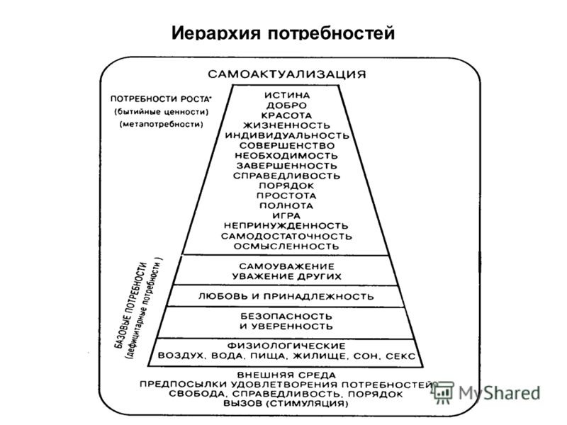 Роль потребности человека. Иерархия. Взаимосвязь потребностей и деятельности. Потребность во взаимодействии. Иерархия в семье.