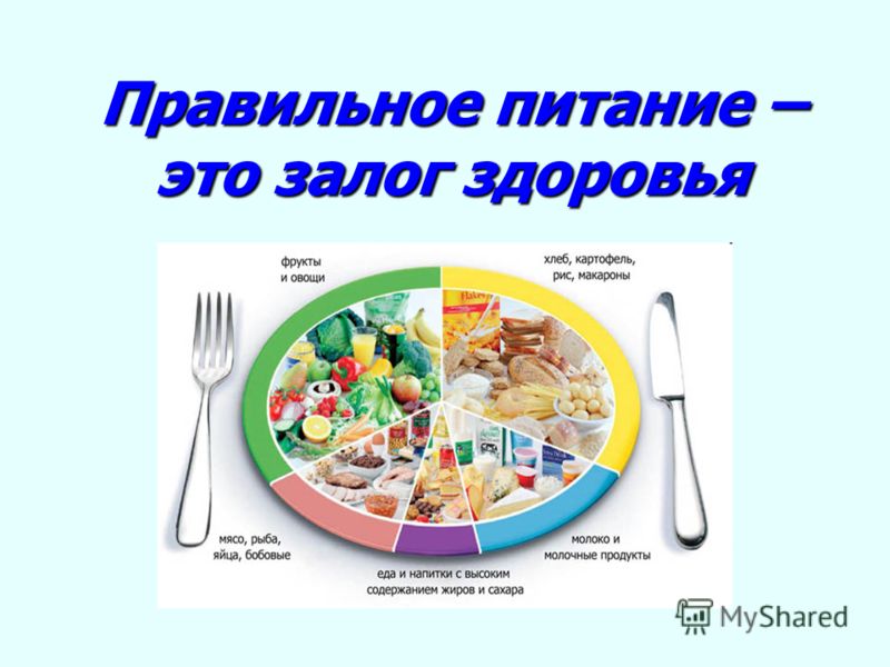 Сохранение продуктов питания проект