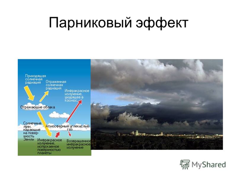 Проект на тему парниковый эффект польза или вред