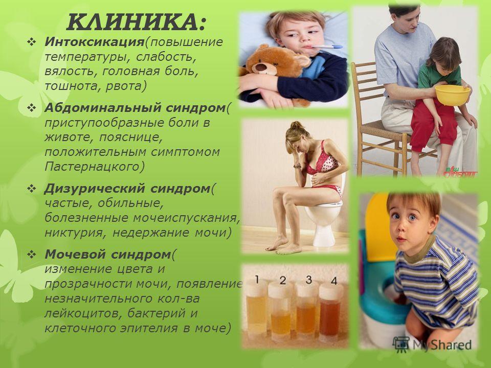 Профилактика пиелонефрита картинки