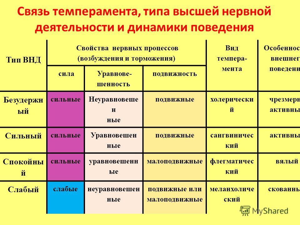 Схема физиологических характеристик общих для человека и животных типов темпераментов по павлову