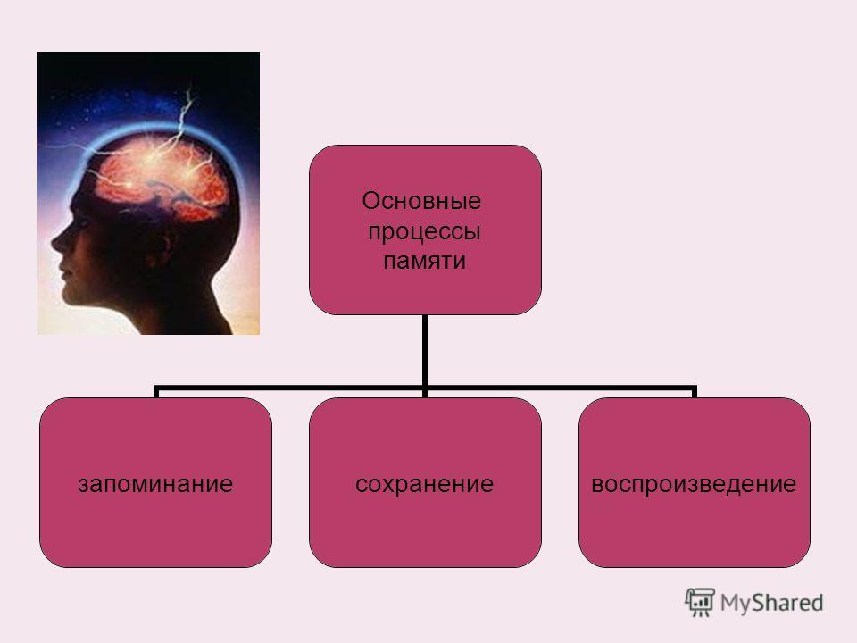 Важнейшей процедурой. Процессы памяти. Основные процессы памяти. Запоминание сохранение и воспроизведение. Процессы памяти в психологии.