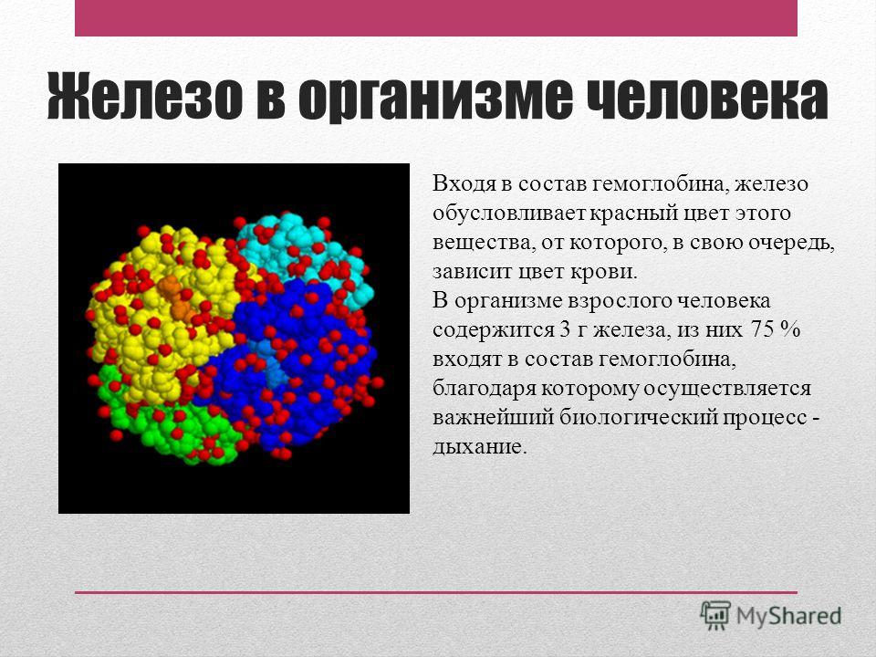 Какие вещества организм. Железо в организме человека. Соединения железа в организме. Железы организма человека. Железо это вещество в организме.