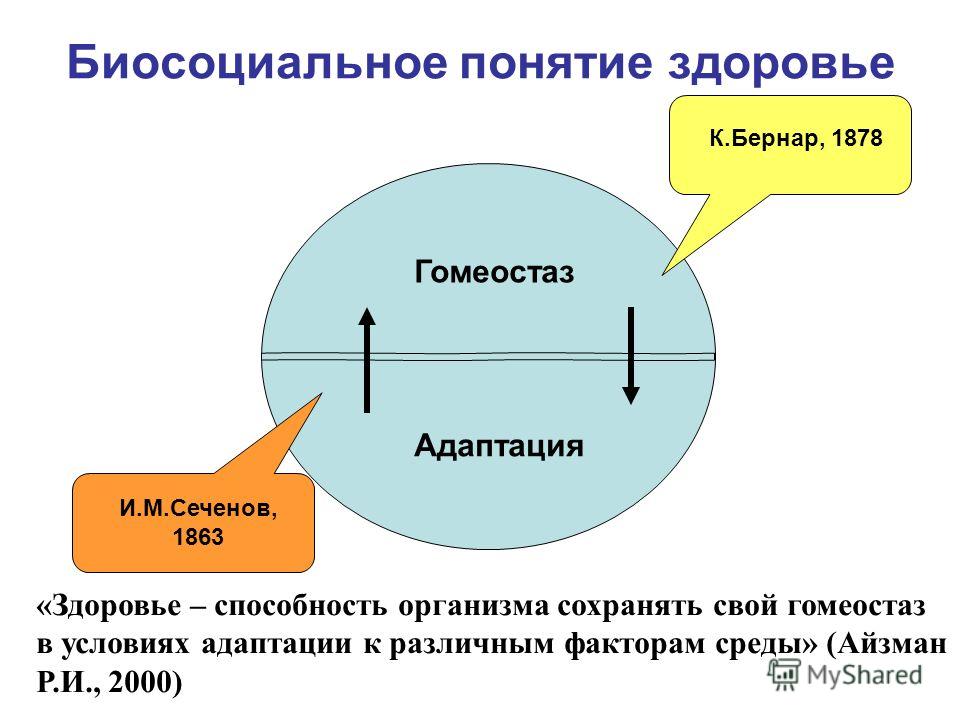 Здоровье человека и социальная адаптация