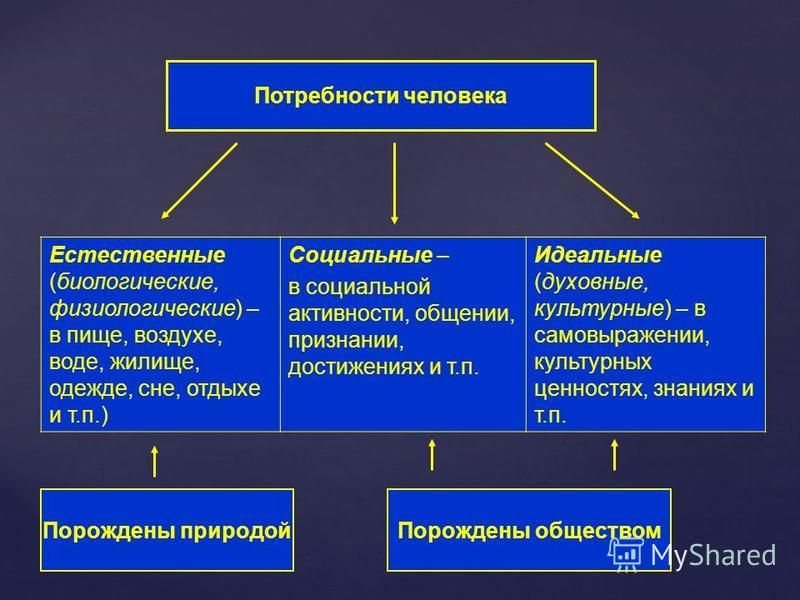 Культура потребностей человека