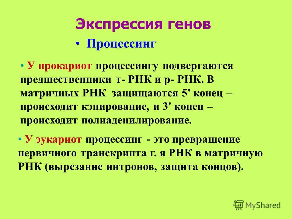 Понятие экспрессивность