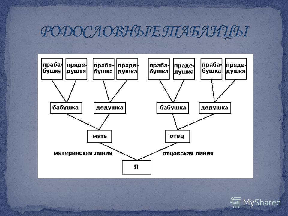 Что такое генеалогическая схема