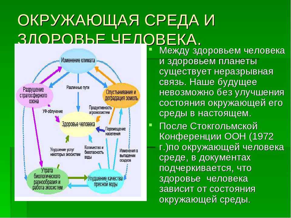 Образование человека здоровье человека закончи схему