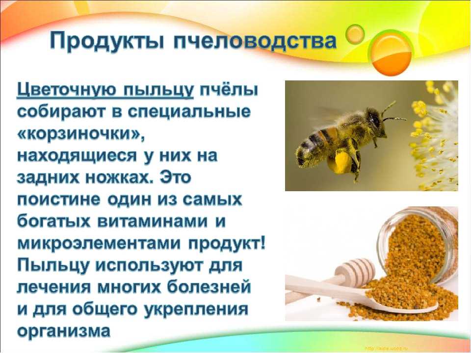 Как принимать пчелиную пыльцу в гранулах