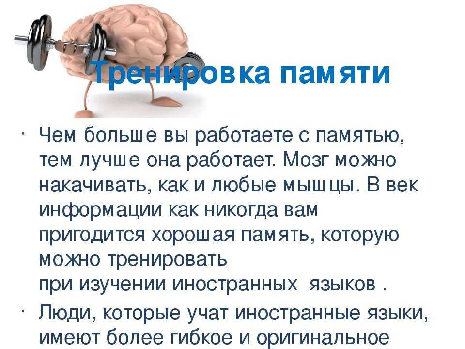 Как работает память человека. Тренировка мозга и памяти. Тренировка для мозга.тренировка памяти. Тренировка мозга и памяти упражнения. Тренируем мозг и память.