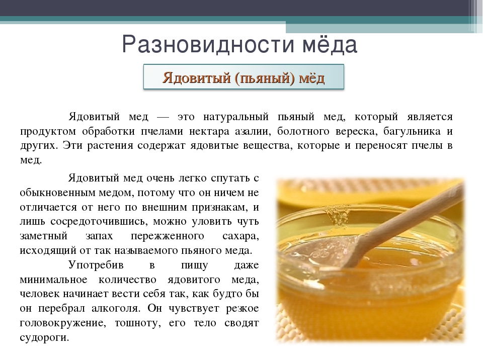 Почему пили мед. Мёд засахарился. Разновидности меда. Мед должен засахариваться. Чем полезен мед.