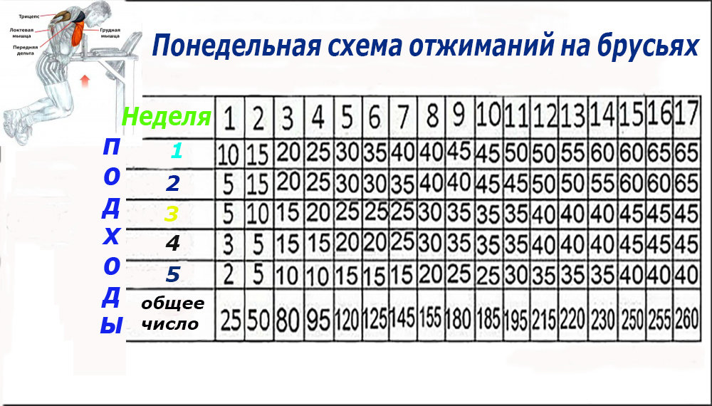 План тренировок дома с нуля
