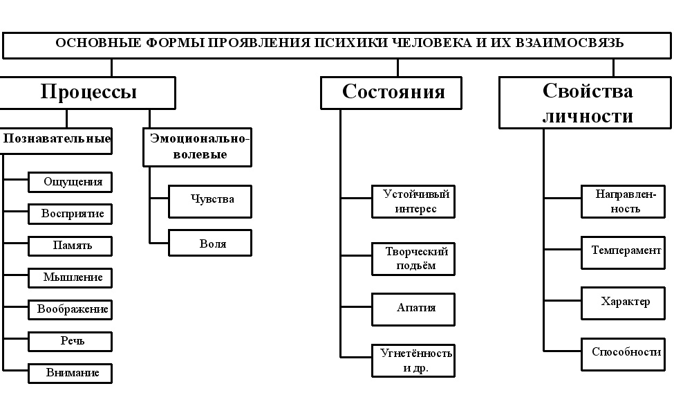 Схема свойства личности