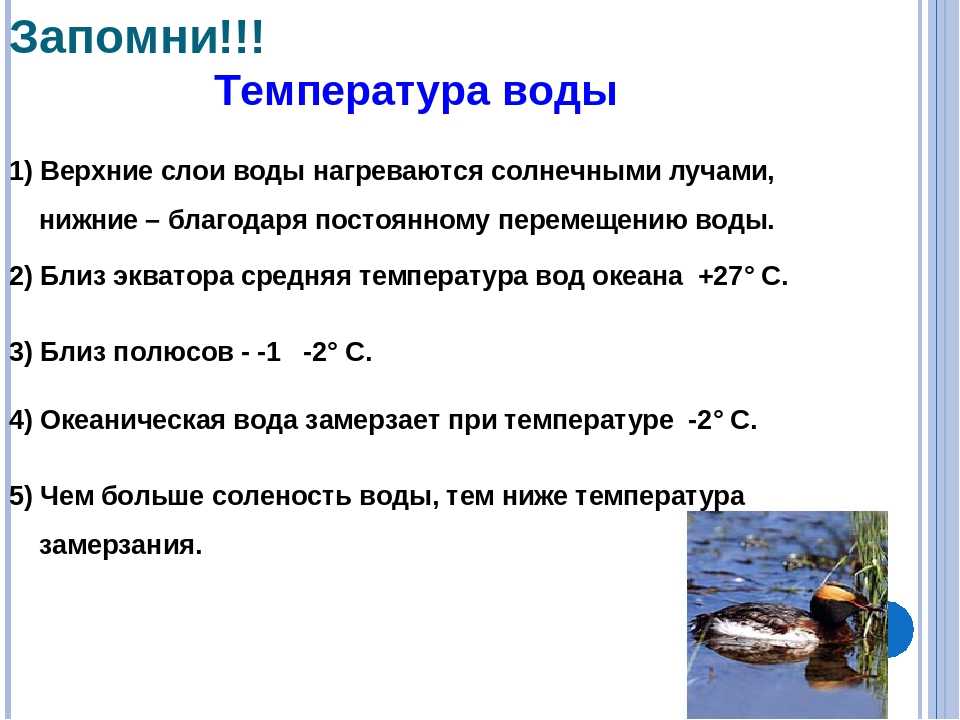 Каких показателях измеряется соленость вод мирового океана. Температура воды. Определение температуры воды. Как изменяется температура воды. Температура океанской воды.
