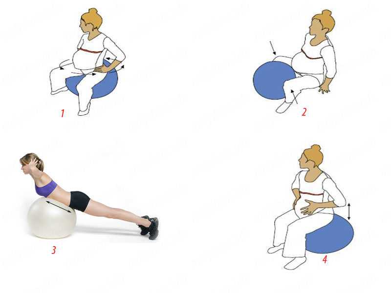 Гимнастика для беременных 2 триместр в домашних условиях в картинках