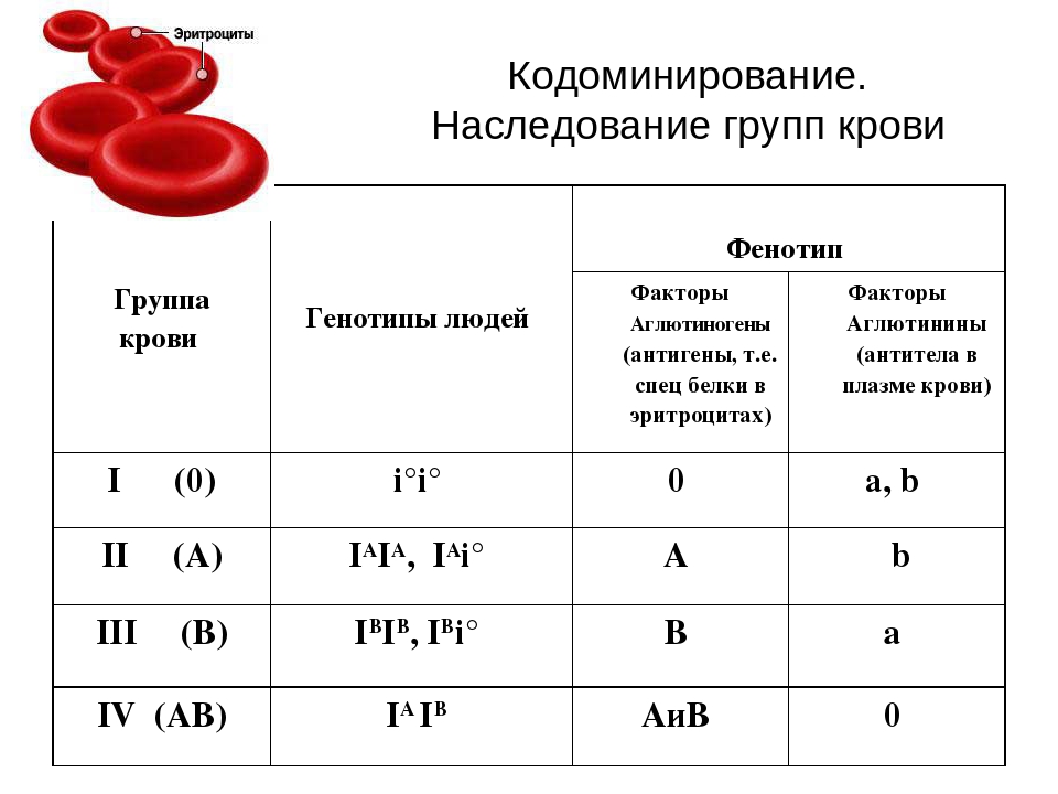 Рассмотрите схему совместимости групп крови как называется явление возникающее при смешивании