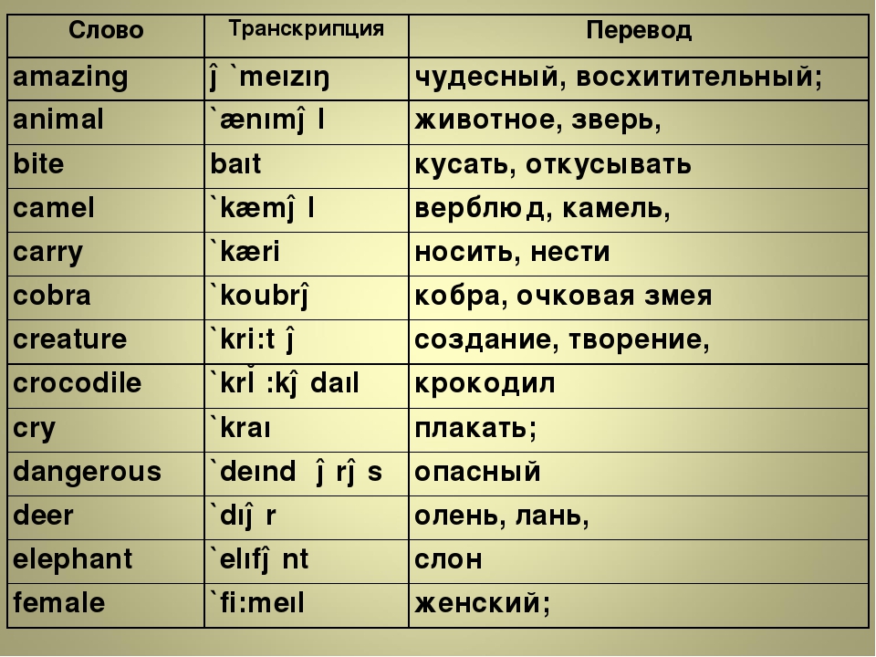 Successful перевод на русский