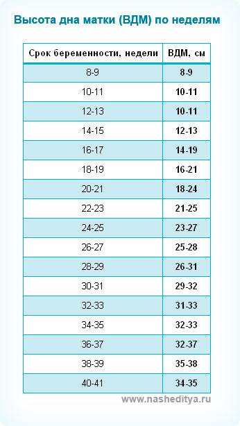 Беременность 36 недель таблица. Высота дна матки по неделям беременности.