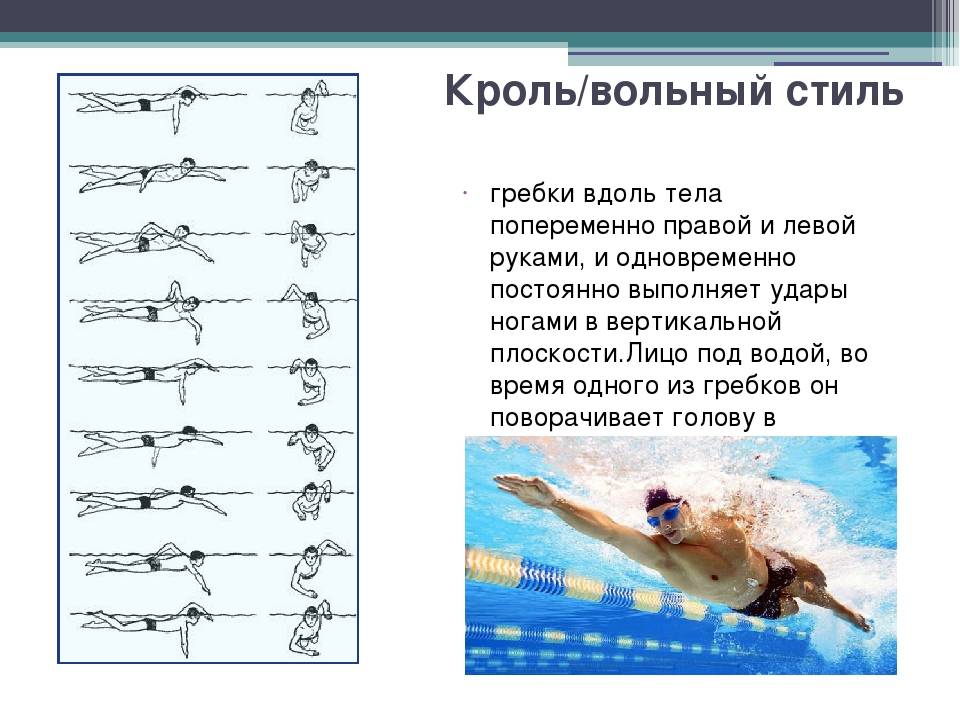 Контужен Или Уроки Плавания Вольным Стилем