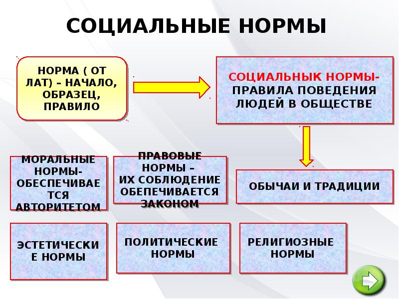 Установленные в обществе правила образцы ожидаемого поведения людей