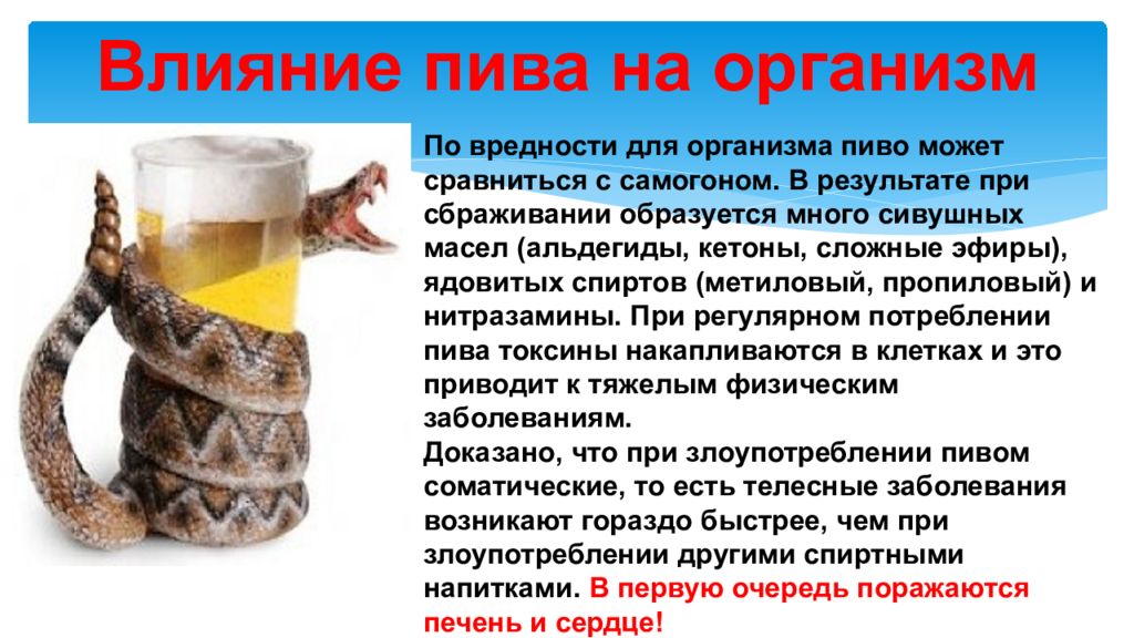 Пивной вред. Пиво в организме. Как пиво влияет на организм.