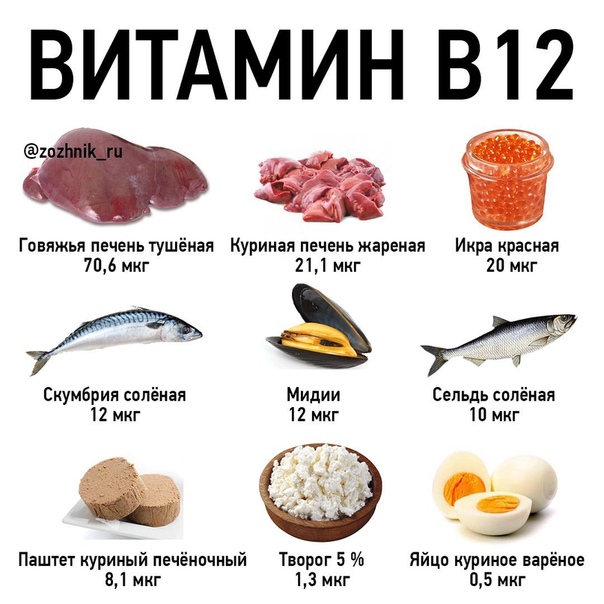 Схема b1 b6 b12