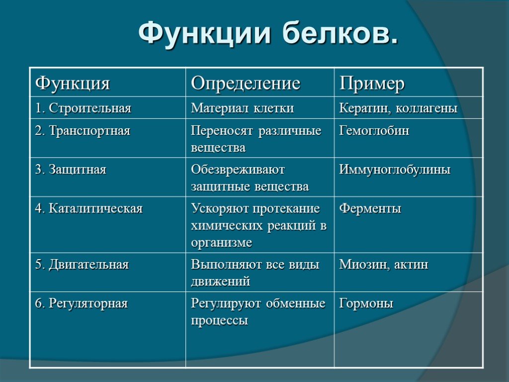 Функции белков презентация