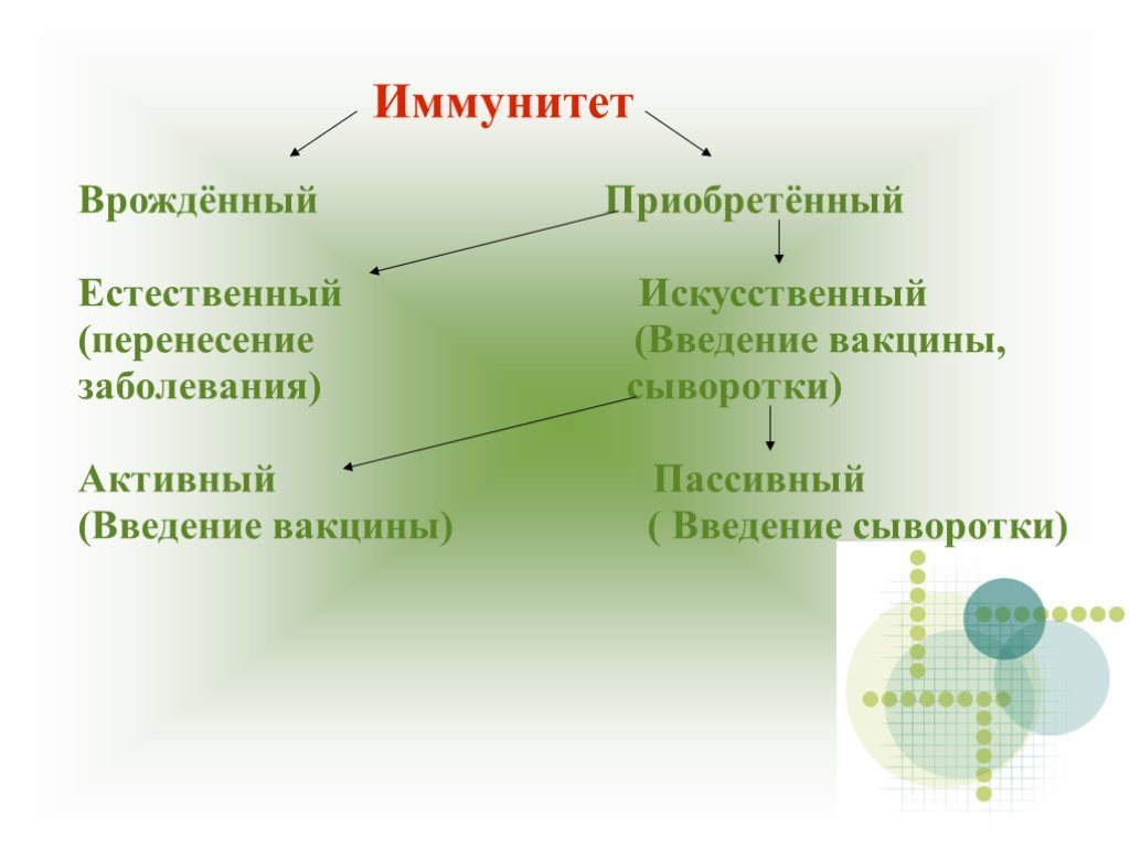 Лечебные сыворотки виды. Что такое вакцина и сыворотка биология 8 класс. Вид иммунитета вакцины и сыворотки. Иммунитет сыворотка и вакцина. Вакцина и сыворотка пассивный и активный.